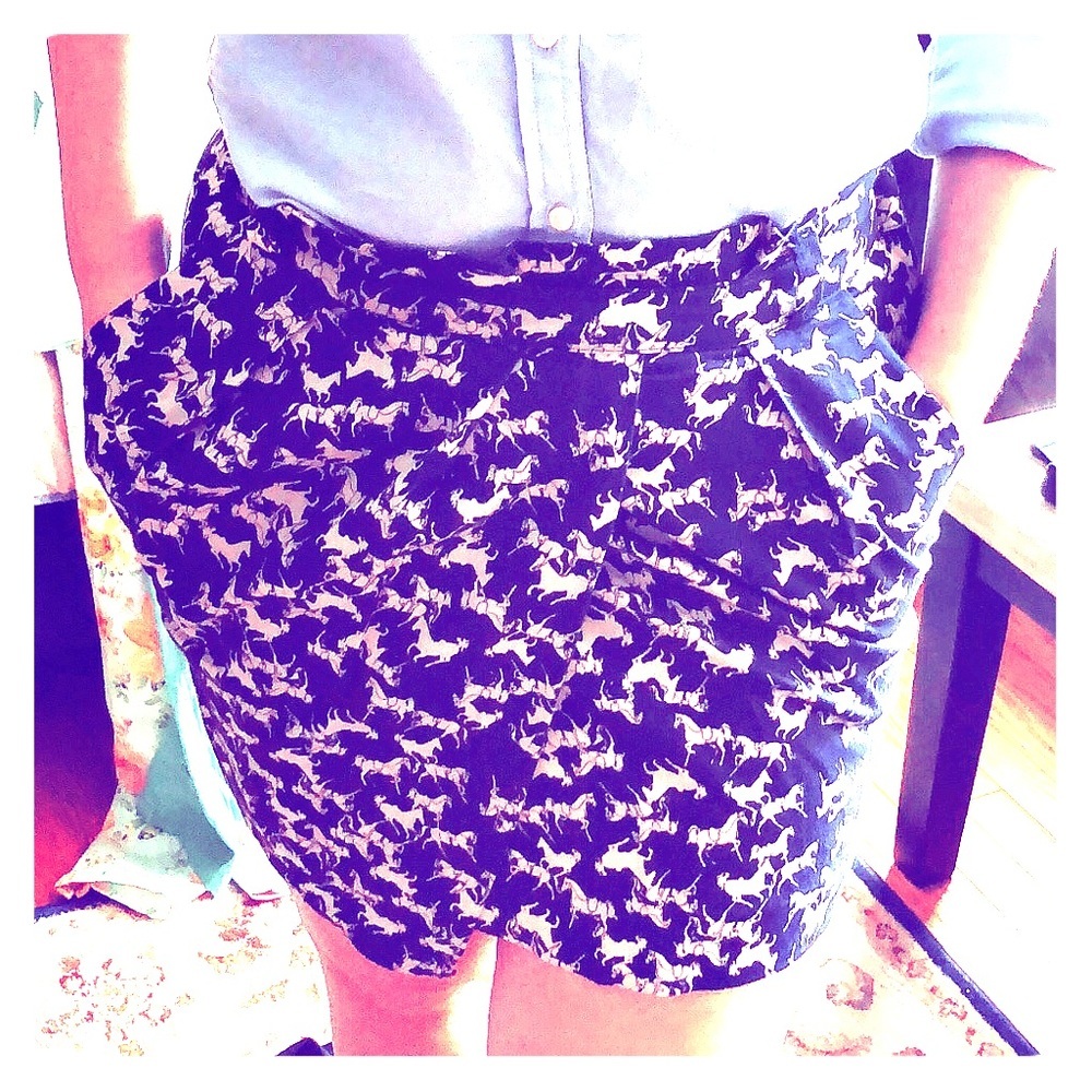 H&M Skirt